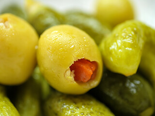 Extreme macro close up of a single green olive stuffed with a piece of red bell pepper surrounded by other pickles showing wet and shiny skin texture