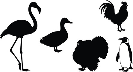 Black Silhouette Collection of Different Birds: Flamingo, Duck, Male Rooster, Turkey, and Penguin, Symbolizing Diversity in Domestic and Wild Fauna Vector Illustration.