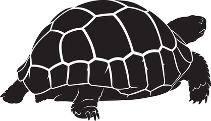 Black silhouette vector illustration of a land turtle with intricate shell details isolated on white background