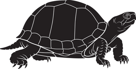 Black silhouette of a turtle, side view, on an assumed white background, featuring its detailed shell, head, and limbs.