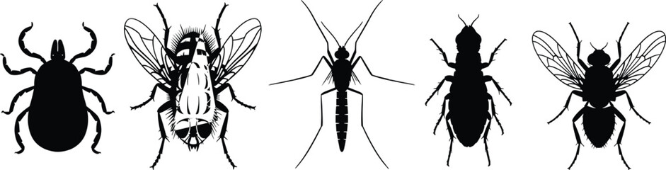 Vector illustration silhouettes of disease-carrying pests like tick, house fly, mosquito, and other biting insects, representing health, hygiene, pest control, danger, and infectious pathogens concept