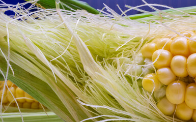 Macro photography of the fine silky threads on a fresh corn cob showing the intricate texture of the natural fibers against the green husk background