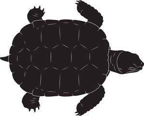 Detailed top-down view silhouette of a sea turtle or tortoise with patterned shell and visible limbs isolated