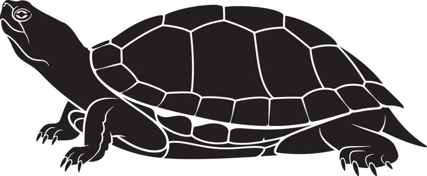Black silhouette of a freshwater turtle or land tortoise with detailed shell pattern, isolated vector illustration
