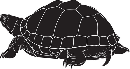 Stylized illustration of a freshwater turtle or tortoise in profile view, vector graphic of a reptile, isolated.
