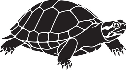 Detailed black turtle silhouette isolated on white background, showcasing intricate shell patterns and reptilian form.