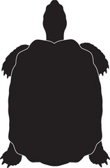Aquatic reptile turtle silhouette isolated on a white background, a common snapping turtle or sea turtle.