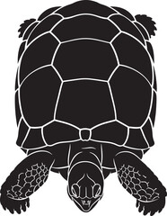Stylized top-down black silhouette vector illustration of a sea turtle with white outlines on an isolated background