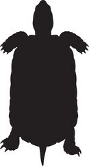 Snapping turtle silhouette, top view of a reptile, isolated on white, wild animal vector art, nature, wildlife.
