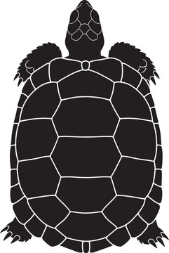 Detailed black silhouette of a sea turtle, top view, featuring distinct shell patterns, isolated vector graphic on transparent background.
