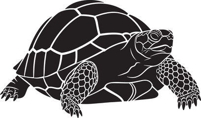 Stylized vector drawing of a terrestrial turtle, full body profile view, intricate shell pattern and textured skin details.