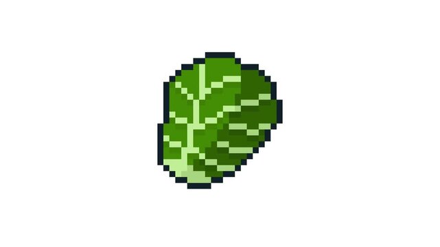 8-bit pixel art lettuce. looped animation 4k 30fps