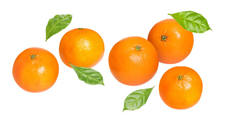 Fresh tangerines and green leaves falling on white background. Citrus fruit
