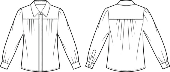 Front and back view of a long sleeve collared blouse with pleats and button closure shirt garment