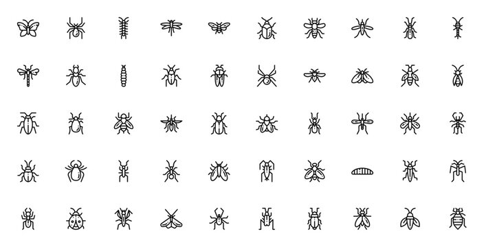 Insects icon set. Vector illustration. Minimalist bu icons pack. Includes buttrfly, spider, bee, ant, moquito, beetle, dragonfly, corpion and more. Editablestroke.