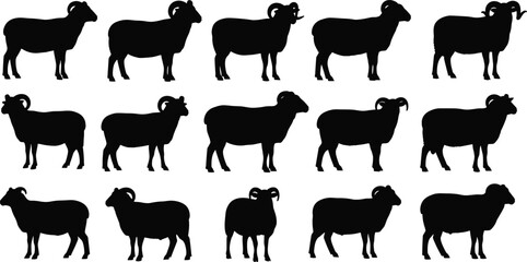 Black Sheep Silhouettes Vector Set for Farm Animal Puzzle, Educational Activity, Visual Discrimination, Kids Game, and Icon Design