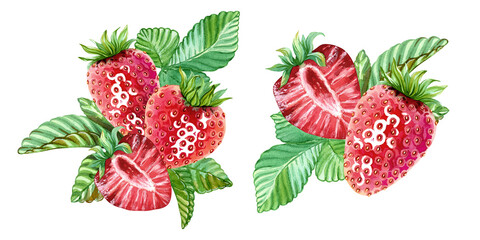 A set of arrangements featuring red strawberries and green leaves. Several designs featuring ripe juicy strawberries in single file. Hand drawn watercolor illustration. Designs for packing cosmetics, 