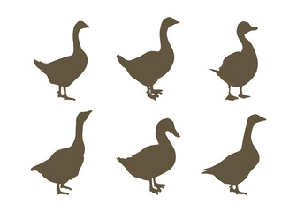 Duck Silhouette Vector Bundle  farm, Wildlife, and Animal Design Elements