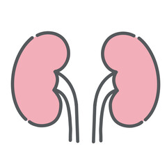 腎臓（じんぞう）のイラスト