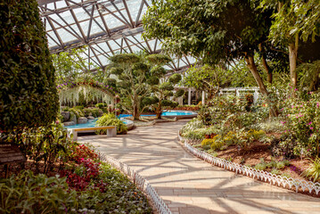 Yeomiji Botanical Garden, A beautiful garden path winding through lush greenery and vibrant flowers on Jeju Island, perfect for leisurely strolls