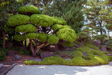 Yeomiji Botanical Garden, A beautifully manicured garden on Jeju Island, showcasing artistic topiary and vibrant plant life, perfect for nature enthusiasts