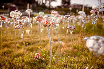 Colorful glass flowers bloom in a field, showcasing the artistic expression found in Jeju Islands outdoor installations
