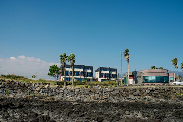 Modern seaside buildings surrounded by palm trees on Jeju Island, combining nature and architecture in a stunning coastal setting
