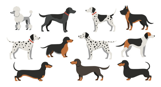 A collection of various dog breeds depicted in a simple pixel art style.