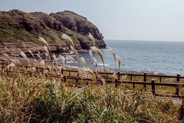 Coastal view of Jeju Island with rocky cliffs and gentle waves, capturing the essence of Koreas natural coastline