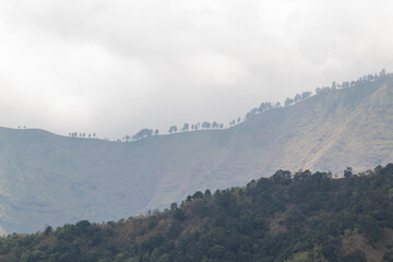 Fototapeta premium Atmospheric view of mountain ridges and silhouetted trees against a bright gray sky in Southeast Asia