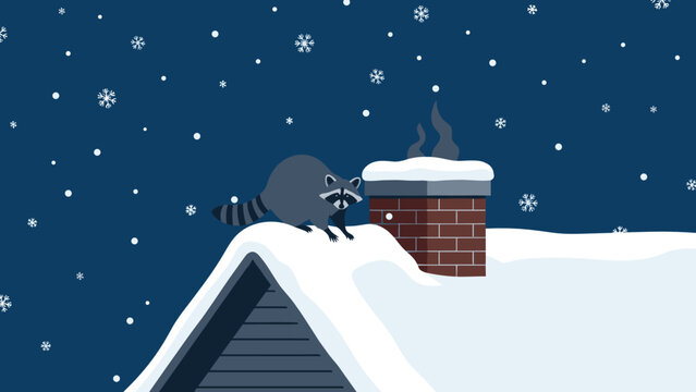 Funny raccoon on snowy roof near chimney at night with falling snow concept