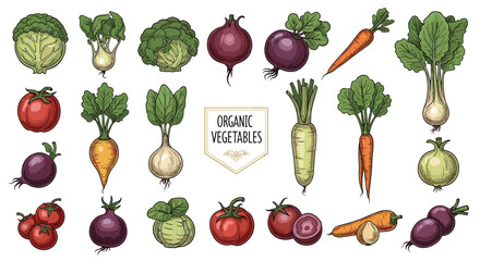 A colorful collection of various fresh organic vegetables and root crops, presented in a vintage hand-drawn style with an \.