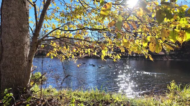 Picnic & Recreation Areas &mdash; convenient recreation areas, a beach by the lake, and camping sites.