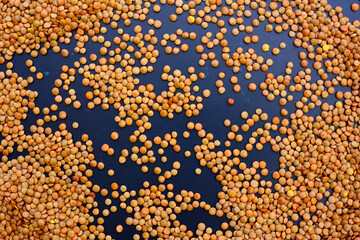 Lentils are small brown legumes rich in protein and fiber