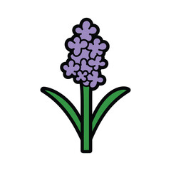 Obraz premium Illustration of Hyacinth Flower in a Pot with Pointed Leaves on a White Background