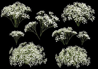 黒き夜に咲く星屑