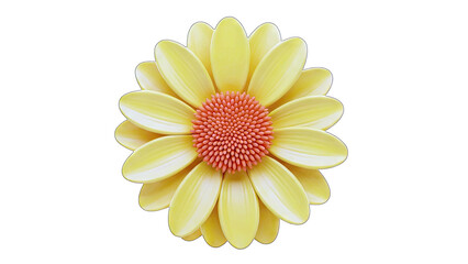 Detailed Yellow Daisy Flower with Red Center on Transparent Background Vibrant Petals and Textured Stamens Macro View Realistic Rendering