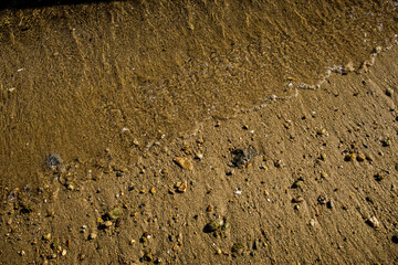 A close-up of a sandy shoreline with clear water gently washing over pebbles, shells, and organic debris.