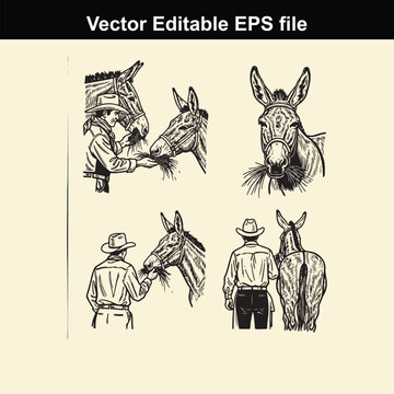 collection of vintage style vector illustrations depicting a cowboy or farmer feeding and standing near a donkey or burro in various poses, suitable for western themes