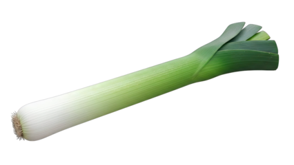 Fresh Leek Vegetable Isolated on Black Background with Green Leaves and White Base Healthy Food Ingredient Culinary Element