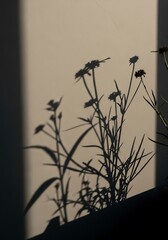 Ephemeral floral shadows against a wall illuminated by golden hour light