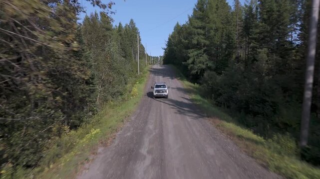 Canopy Convergence: Midday Reverse