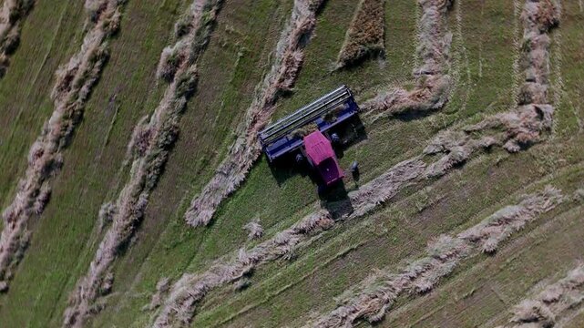 Golden Field Harvest: Combine Working Through Crops