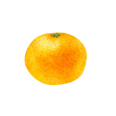 みかん　果物　水彩 イラスト