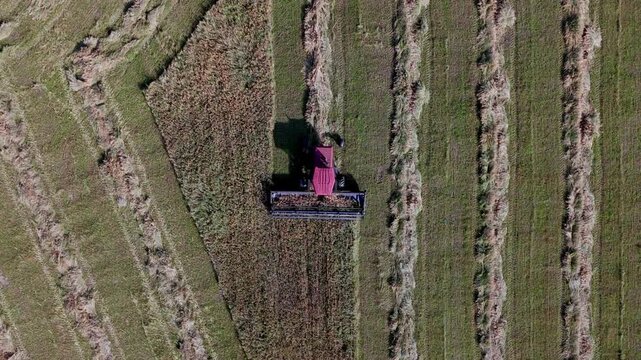 Top-Down Aerial Perspective of Agriculture Machinery Harvesting Grain