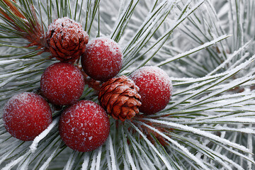 Sparkling winter wonderland scene with frosted pine needles and festive red ornaments, perfect for holiday greetings and seasonal projects