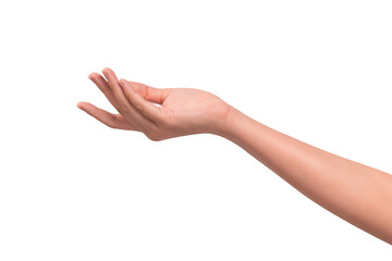 Close-up of a beautiful empty hand gesture isolated on a transparent PNG.
