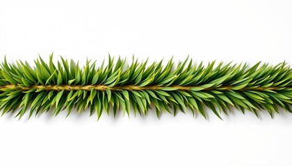 An artificial branch of evergreen pine needles with a flat lay perspective. The pine needles are green, suggesting they represent a common symbol of Christmas or holiday decorations