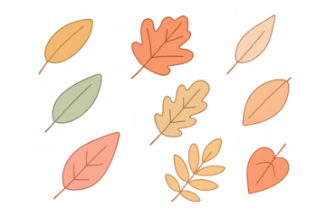 Autumn leaves illustration set depicting various fall foliage, natural seasonal design elements on transparent background