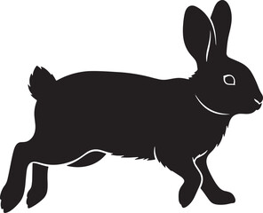 Black rabbit sitting upright isolated on